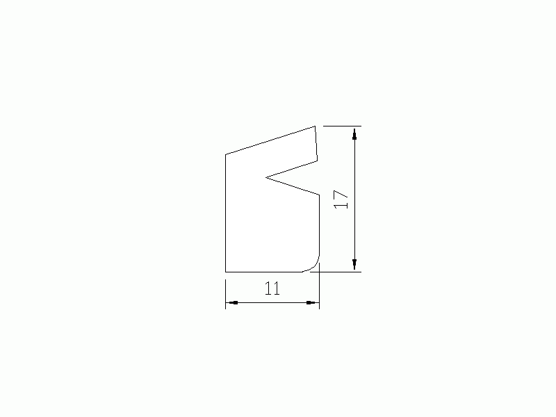 Profil en Silicone P1398C - format de type Labiée - forme irrégulier