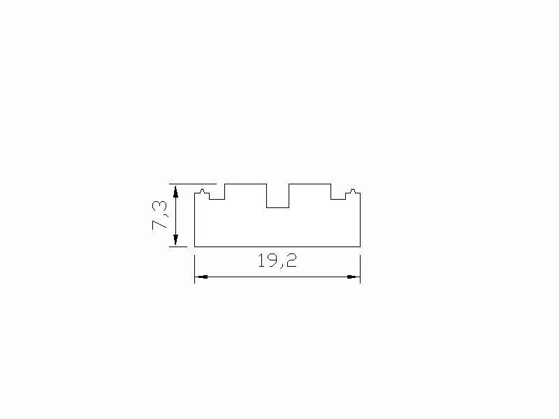 Silicone Profile P2222P - type format D - irregular shape