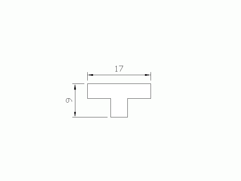 Silicone Profile P667AA - type format T - irregular shape