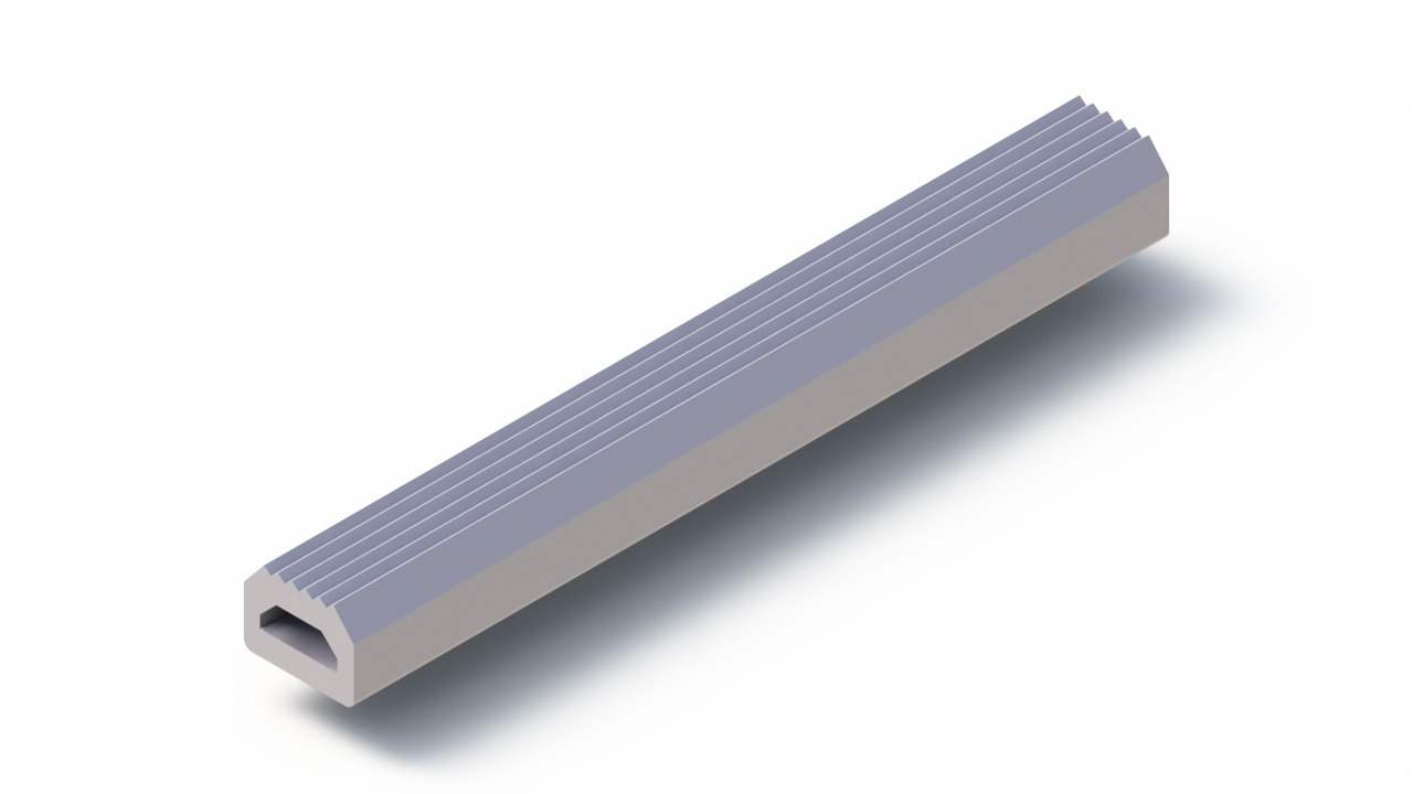 Perfil de Silicona P2851OE - formato tipo D - forma irregular