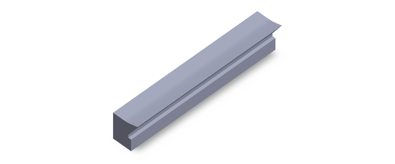 Perfil de Silicona P59B - formato tipo Labiado - forma irregular