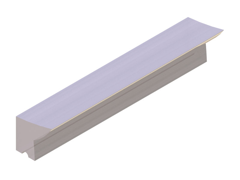 Perfil de Silicona P914-298 - formato tipo Labiado - forma irregular