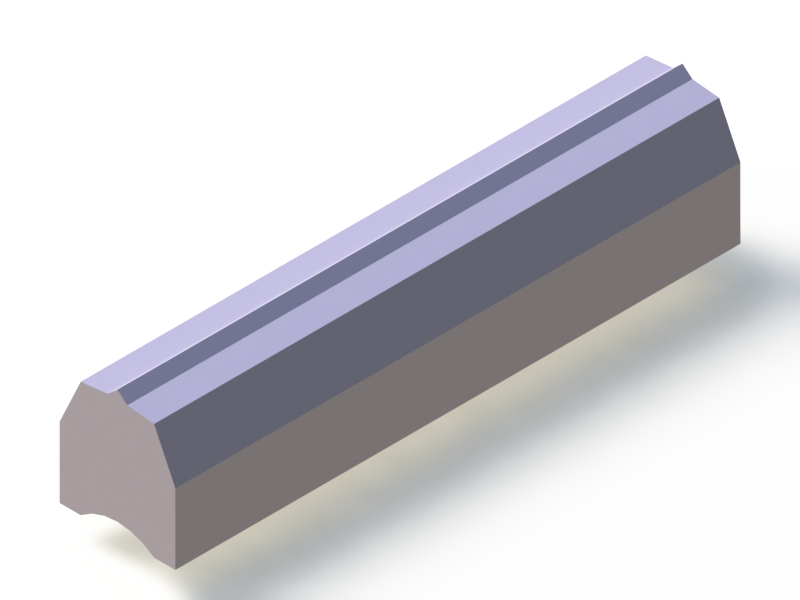 Perfil de Silicona P93599A - formato tipo D - forma irregular