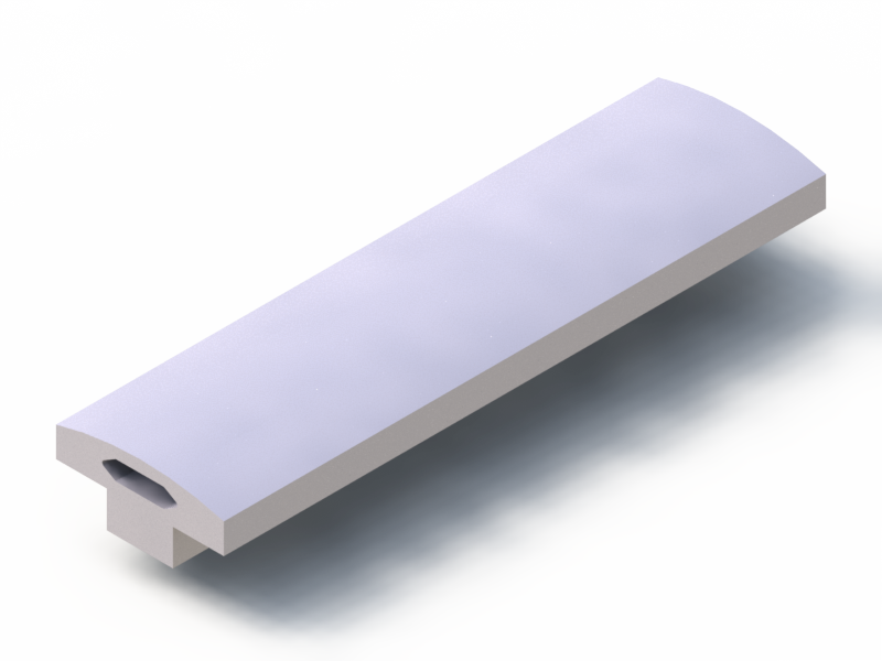 Silicone Profile P93587T - type format T - irregular shape