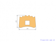 Perfil de Silicona P00 - formato tipo D - forma irregular