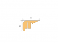 Perfil de Silicona P268CQ - formato tipo Labiado - forma irregular