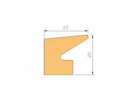 Perfil de Silicona P924F - formato tipo Labiado - forma irregular