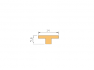 Silicone Profile P100A - type format T - irregular shape