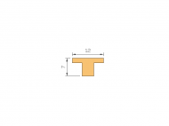 Silicone Profile P1228AS - type format T - irregular shape