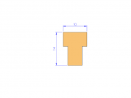 Silicone Profile P1313C - type format T - irregular shape