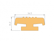 Silicone Profile P1454E - type format T - irregular shape