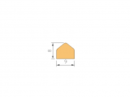 Silicone Profile P148B - type format D - irregular shape