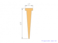 Silicone Profile P2364 - type format T - irregular shape