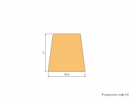 Silicone Profile P286C - type format Trapezium - irregular shape