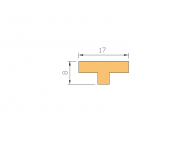 Silicone Profile P601D - type format T - irregular shape