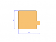 Silicone Profile P822BA - type format T - irregular shape