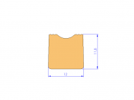 Silicone Profile P92022I - type format D - irregular shape