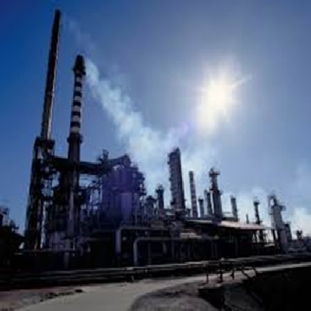 Chemical and Petrochemical Sector